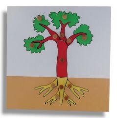 Bitkiler Puzzle Set (4 puzzle + Raf ) / Botany Puzzle Set